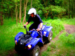 Image result for Glenrothes Grizzlies