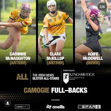 Image result for An Riocht Gaa Club