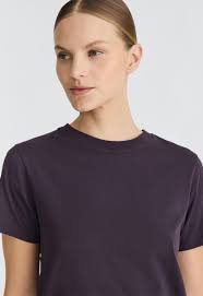 Image result for biojack tehron