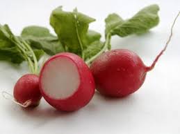 Image result for Radieschen