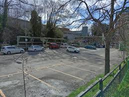 Image result for Redhill Karate Association