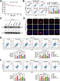Image result for b%FD%E7ak anatomisi