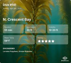 Image result for Diveline