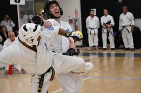 Image result for Aylesbury Vale Seido Karate