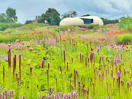 Image result for Piet Oudolf