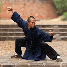 Image result for kung fu