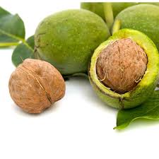 Attēlu rezultāti vaicājumam “Juglans regia fruit”