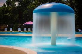 Image result for Trowbridge Swimming Club