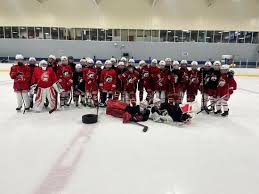Image result for New Milton Hockey Club