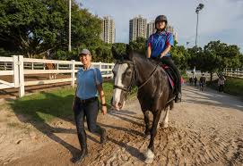 Image result for Riding For The Disabled Association