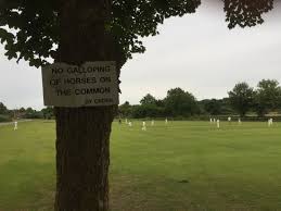 Image result for Rockhampton Cricket Club