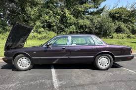Image result for Amananth Purple 1999 Jaguar