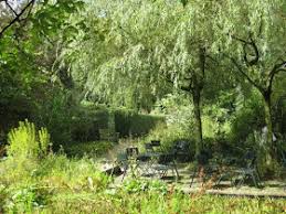 Image result for Priona Tuinen