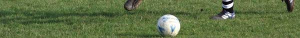 Image result for Beecholme Belles Banstead FC