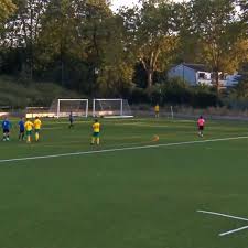 Image result for Old Dorkinians