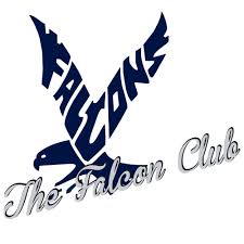 Image result for Falcon Sa Club