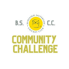Image result for Budleigh Salterton Cricket Club