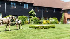 Image result for Champneys Health Resorts