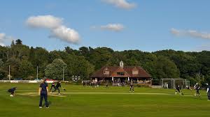 Image result for Mayfield Cricket Club
