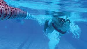 Image result for City Of Milton Keynes Swimming Club
