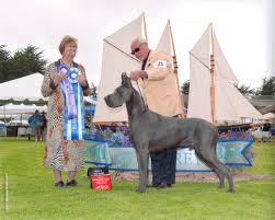 Image result for Great Dane Handball Club, Wapping, London