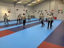 Image result for Stort Valley Sabre Club