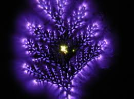 Image result for Jakub Jodko-Narkiewicz Kirlian