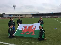 Image result for Rogerstone Rangers Junior Football Club