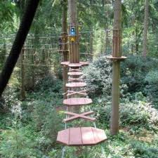 Image result for Go Ape! Thetford