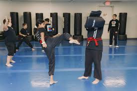 Image result for Impact Martial Arts