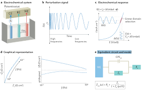 Image result for 2極化思考ËIvľ@=AC