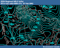Blowing Snow Case Exercise: Print Version