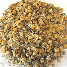 Image result for Matricaria recutita (chamomilla)