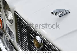 Image result for Old English White 1971 Jaguar