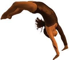 Image result for Arun Gymnastics Club