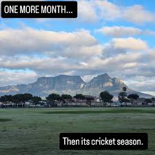 Image result for Rylands Cc