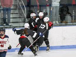 Image result for New Milton Hockey Club