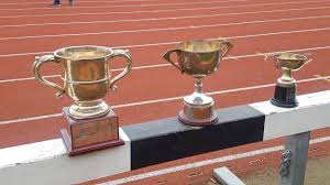 Image result for Enfield & Haringey Athletic Club