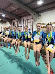 Image result for Brumby Gymnastics Club