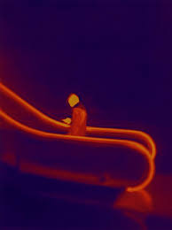 Image result for antoine d