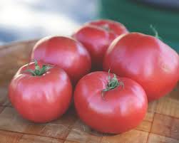 Afbeeldingsresultaat voor CDB tomato