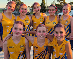 Image result for Willenhall Town Wanderers Netball Club