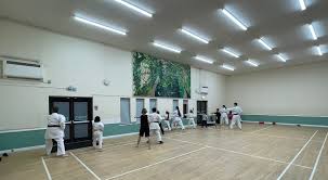 Image result for Soncho Karate Club