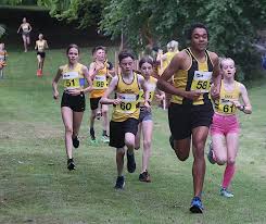 Image result for Calderglen Harriers