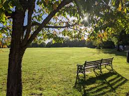 Image result for Bytomic Tae Kwon Do Wokingham