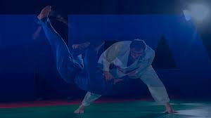 Image result for Judo Excellence