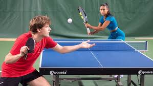 Image result for Table Tennis