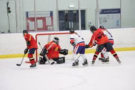 Image result for Streatham Night Wolves Ice Hockey Team