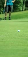 Image result for Hartlepool Gc