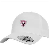 Image result for Purley Cricket Club